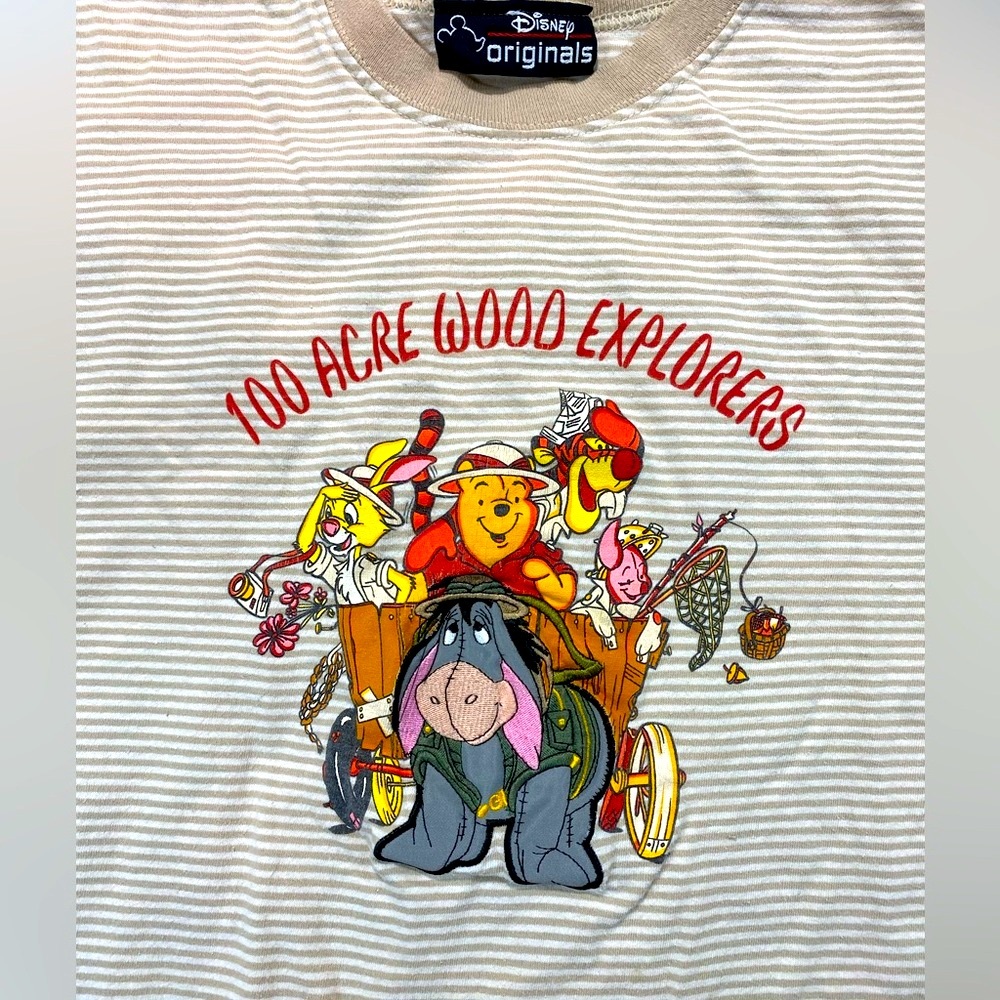 Vintage 100 acre wood Disney tee featuring Eeyor and the gang Tan pin stripe S/M